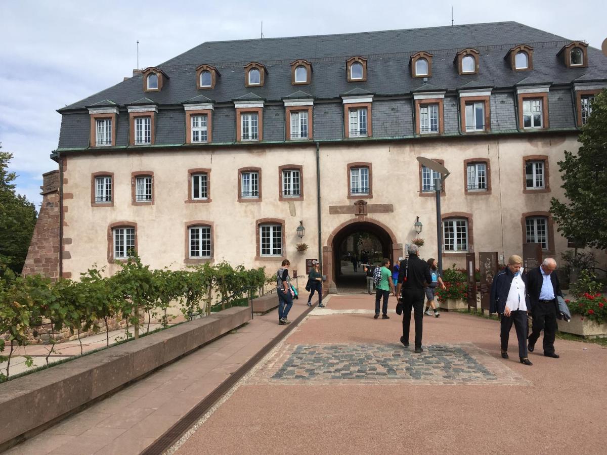 Maison Independante De Montagne En Alsace Bellefosse Zewnętrze zdjęcie