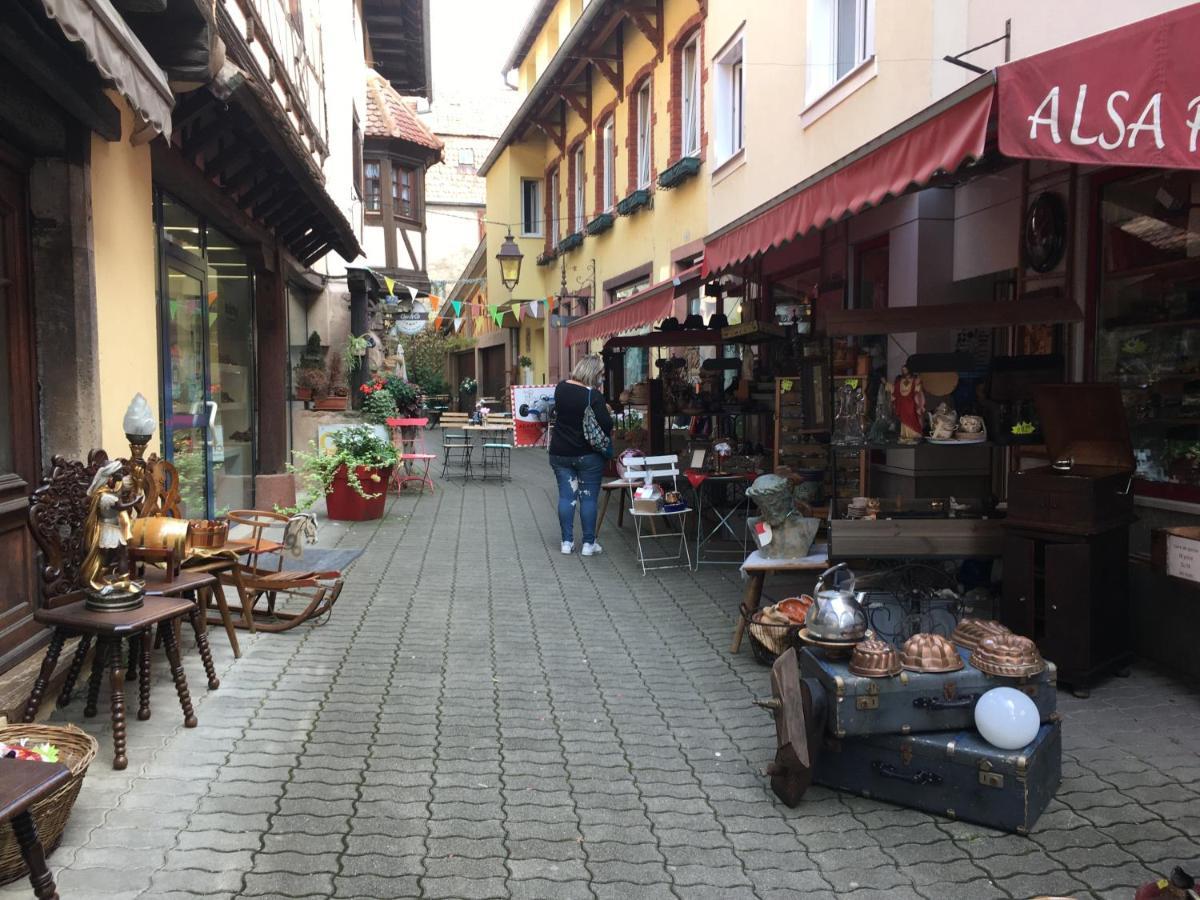 Maison Independante De Montagne En Alsace Bellefosse Zewnętrze zdjęcie