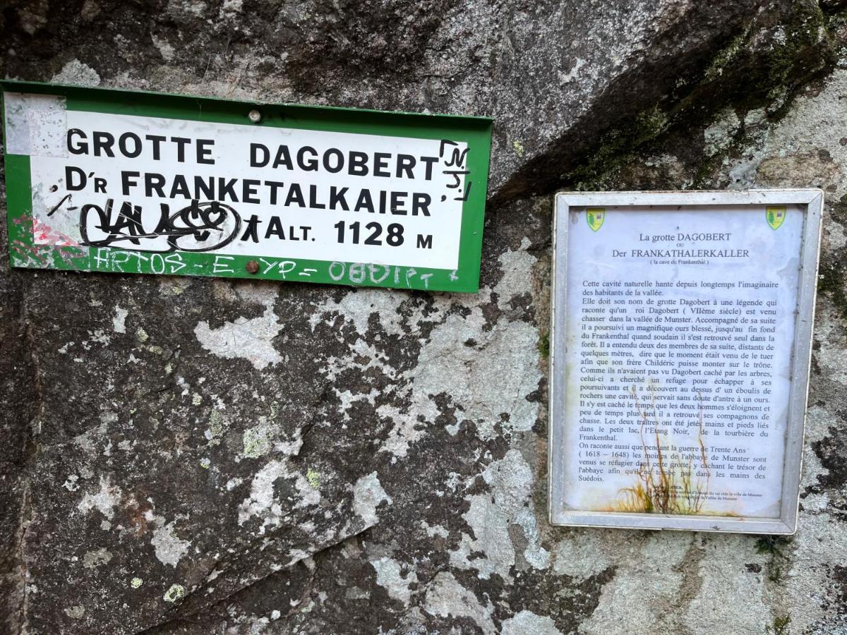 Maison Independante De Montagne En Alsace Bellefosse Zewnętrze zdjęcie