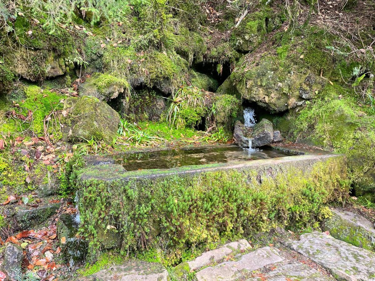 Maison Independante De Montagne En Alsace Bellefosse Zewnętrze zdjęcie