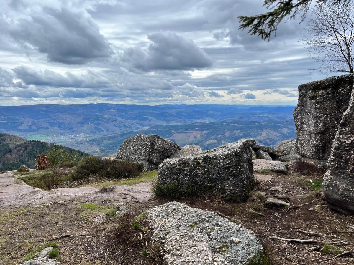Maison Independante De Montagne En Alsace Bellefosse Zewnętrze zdjęcie
