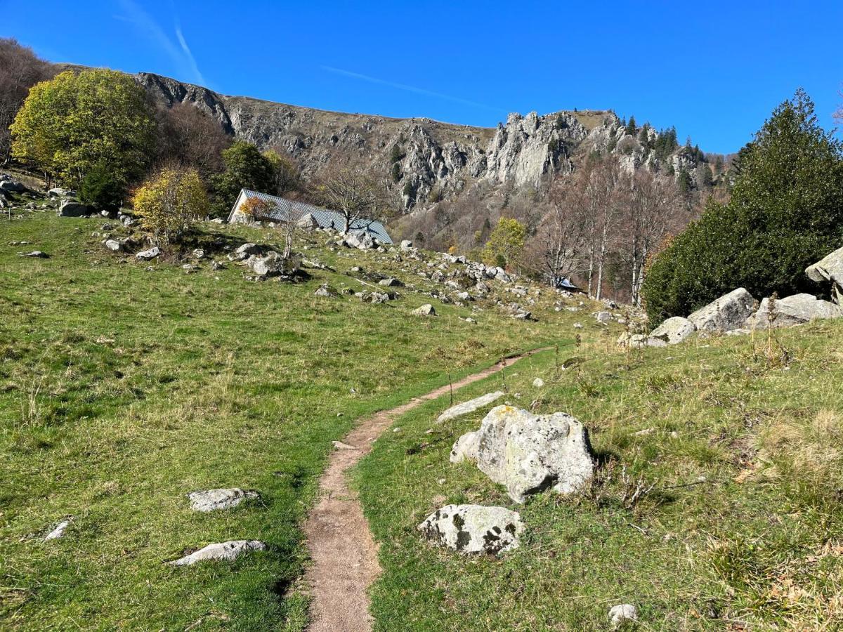 Maison Independante De Montagne En Alsace Bellefosse Zewnętrze zdjęcie
