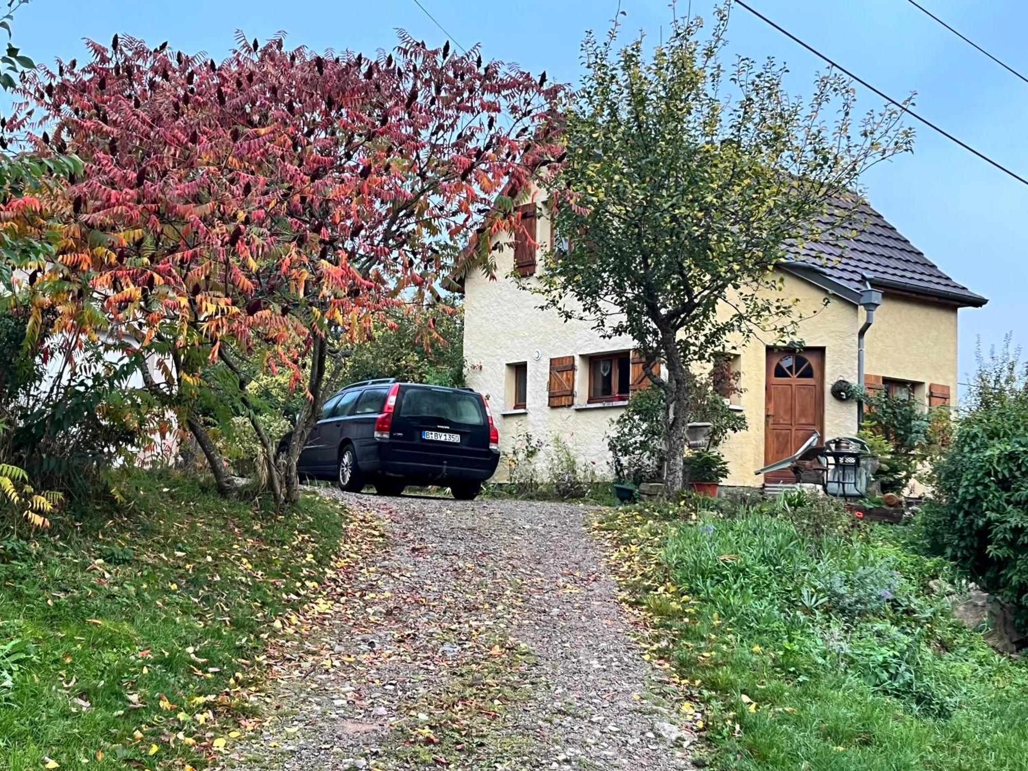 Maison Independante De Montagne En Alsace Bellefosse Zewnętrze zdjęcie