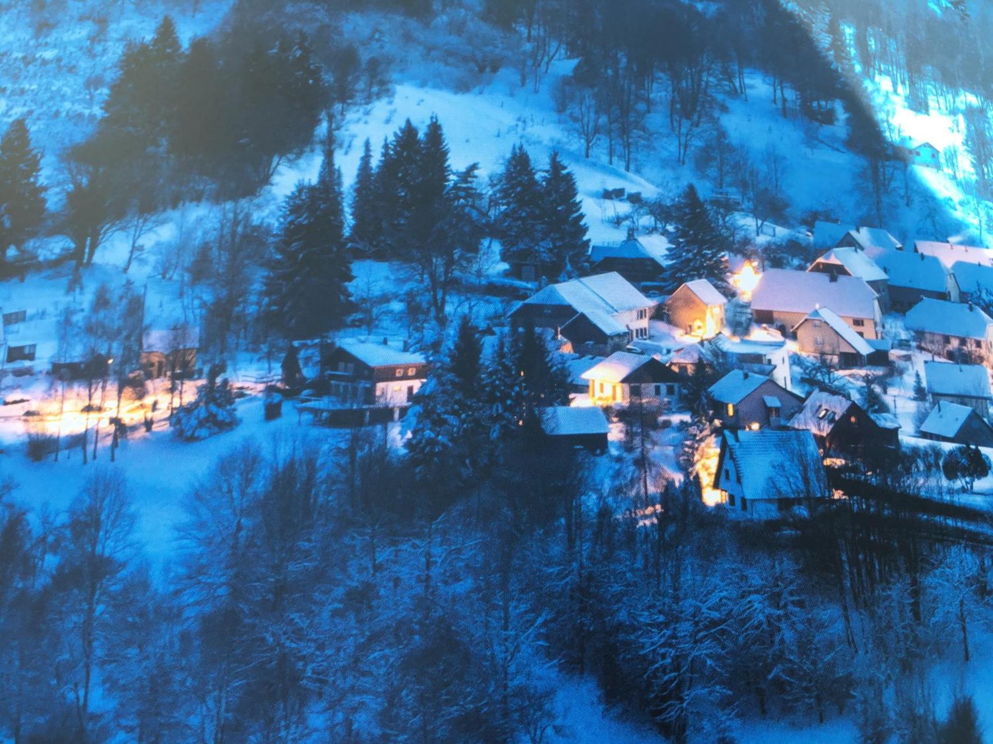 Maison Independante De Montagne En Alsace Bellefosse Zewnętrze zdjęcie