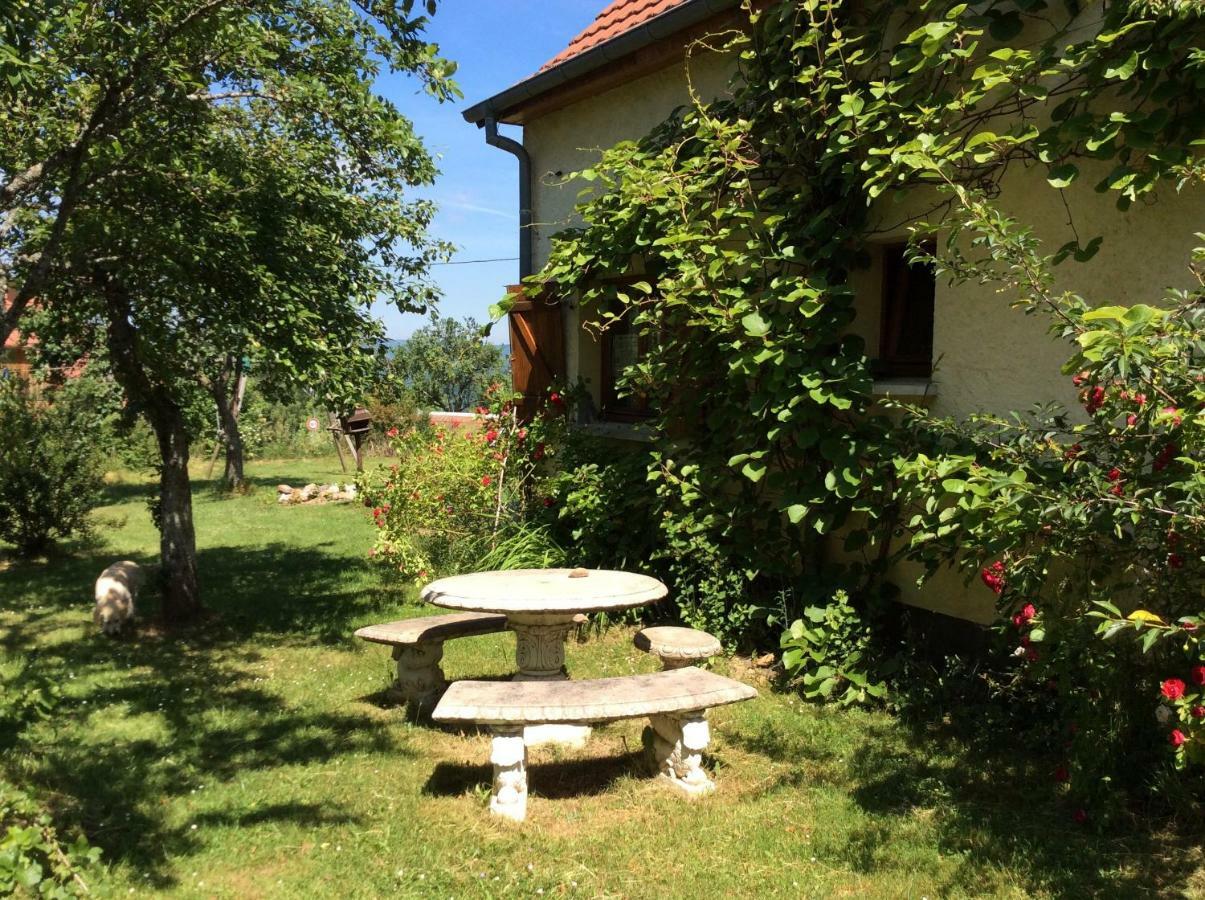 Maison Independante De Montagne En Alsace Bellefosse Zewnętrze zdjęcie