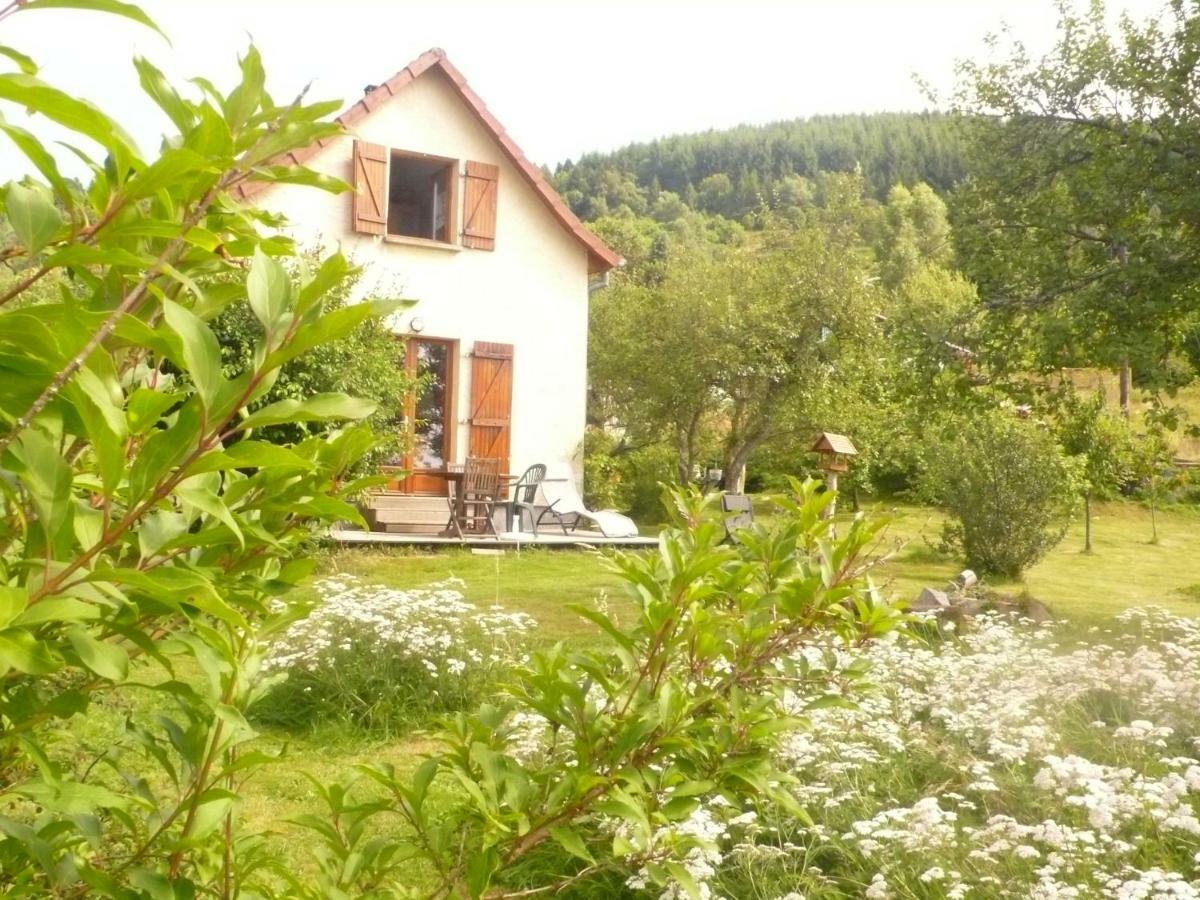 Maison Independante De Montagne En Alsace Bellefosse Zewnętrze zdjęcie