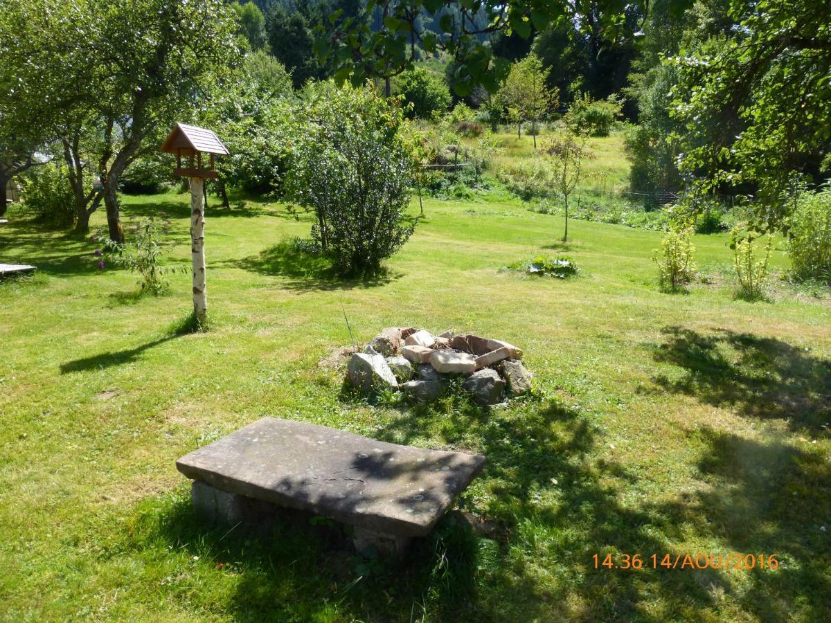 Maison Independante De Montagne En Alsace Bellefosse Zewnętrze zdjęcie