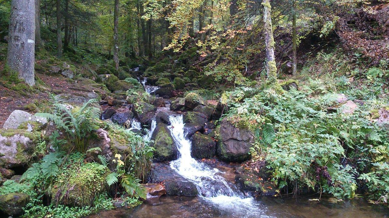 Maison Independante De Montagne En Alsace Bellefosse Zewnętrze zdjęcie